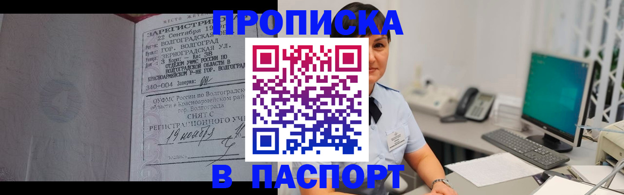 найти адрес прописки в Шали